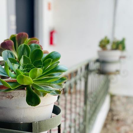 Kuku Ruku Hotel Querétaro Εξωτερικό φωτογραφία