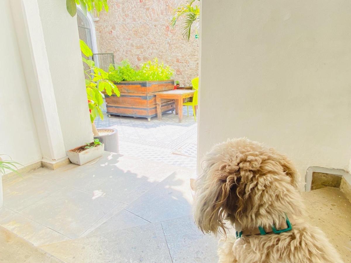 Kuku Ruku Hotel Querétaro Εξωτερικό φωτογραφία